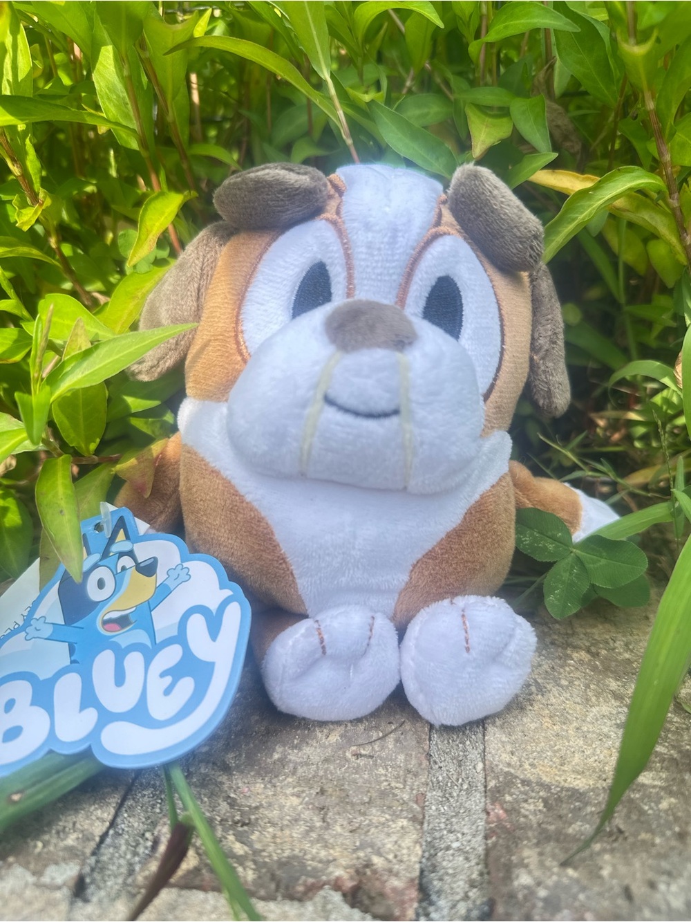 Bluey & Friends Winton 7” Plush Toy by Moose Toy